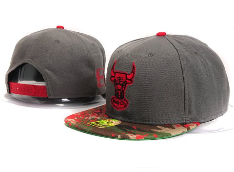 Chicago Bulls NBA Snapback Hat YS267